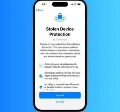 新州镇苹果授权维修店分享被盗设备保护功能开启方法 