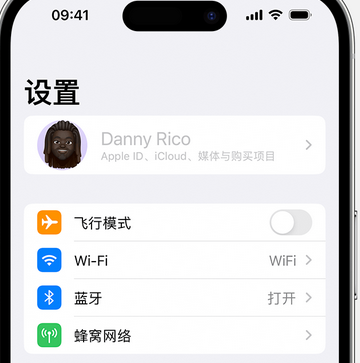 新州镇appleID维修服务iPhone设置中Apple ID显示为灰色无法使用 