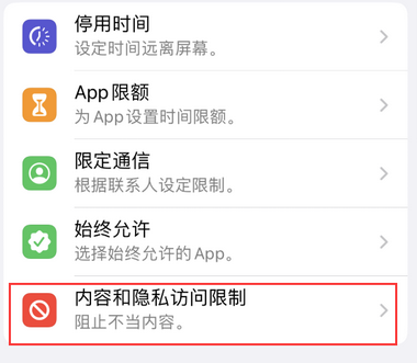 新州镇appleID维修服务iPhone设置中Apple ID显示为灰色无法使用