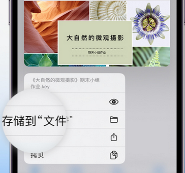 新州镇apple维修中心分享iPhone文件应用中存储和找到下载文件