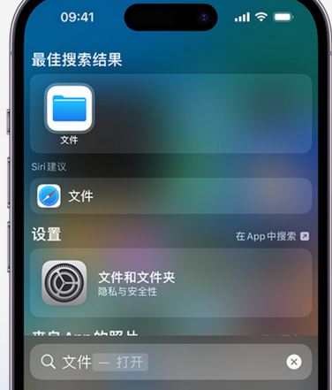 新州镇apple维修中心分享iPhone文件应用中存储和找到下载文件