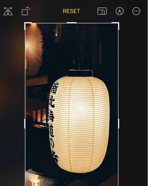 新州镇苹果手机维修店分享iOS17中一键式裁剪功能使用方法