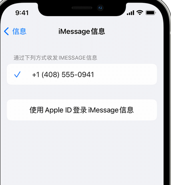 新州镇apple维修iPhone上无法正常发送iMessage信息