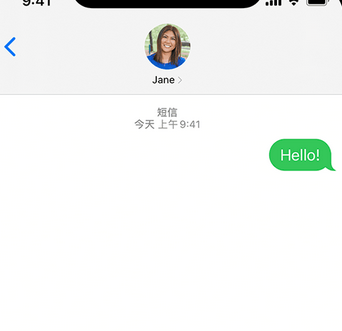 新州镇apple维修iPhone上无法正常发送iMessage信息