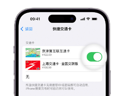 新州镇apple维修点分享iPhone上更换Apple Pay快捷交通卡手绘卡面 