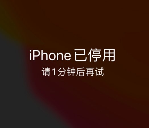 新州镇苹果手机维修分享:iPhone 显示“不可用”或“已停用”怎么办？还能保留数据吗？ 