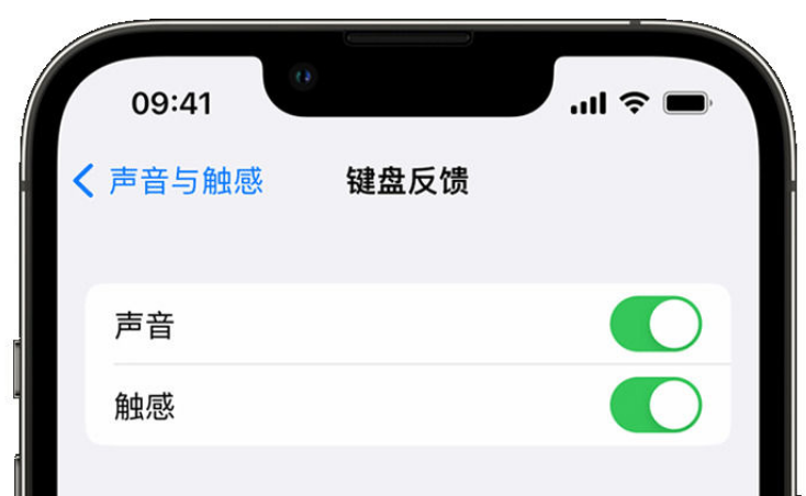 新州镇苹果手机维修分享iPhone 14触感键盘使用方法 