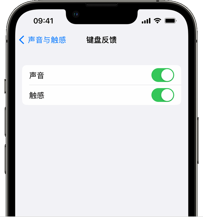 新州镇苹果14维修店分享如何在 iPhone 14 机型中使用触感键盘 