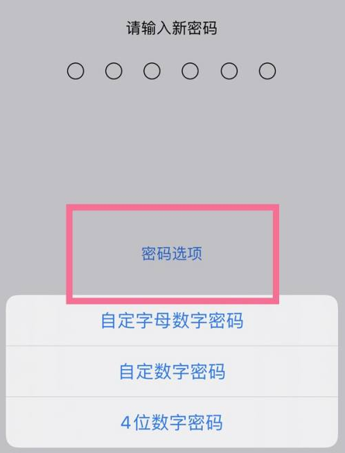 新州镇苹果14维修分享iPhone 14plus设置密码的方法 