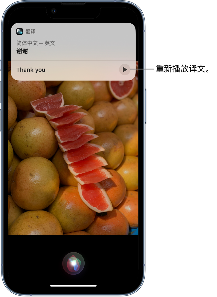 新州镇苹果14维修分享 iPhone 14 机型中使用 Siri：了解 Siri 能帮你做什么 