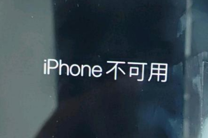 新州镇苹果服务网点分享锁屏界面显示“iPhone 不可用”如何解决 