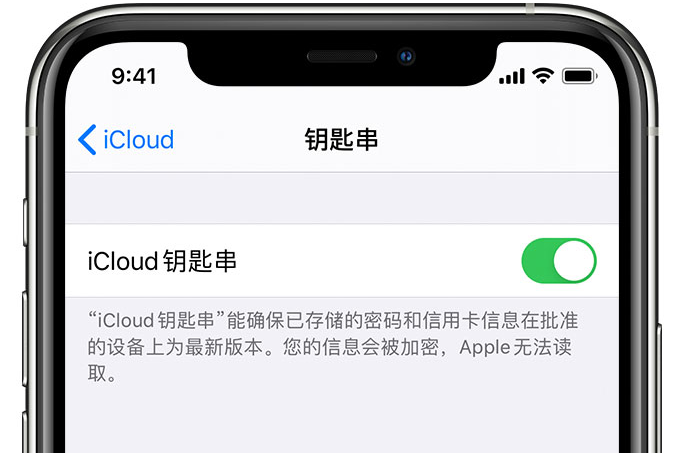 新州镇苹果手机维修分享在 iPhone 上开启 iCloud 钥匙串之后会储存哪些信息 