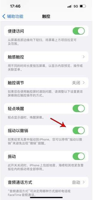 新州镇苹果手机维修分享iPhone手机如何设置摇一摇删除文字 